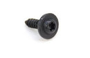 Mopar 06036465AA Torx Head Screw